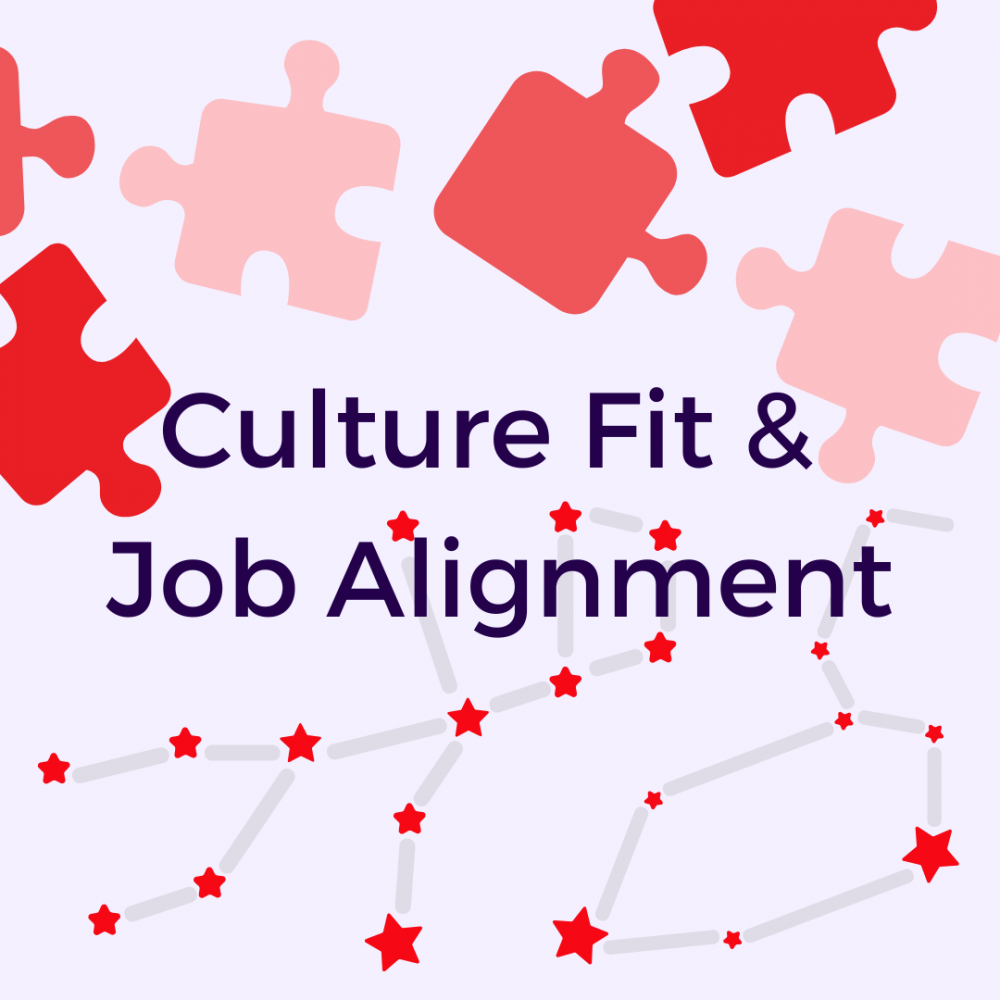 Balancing Culture Fit And Role Alignment The People Group